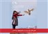 حضور فیلم برای پریدن در جشنواره‌های بین‌المللی
